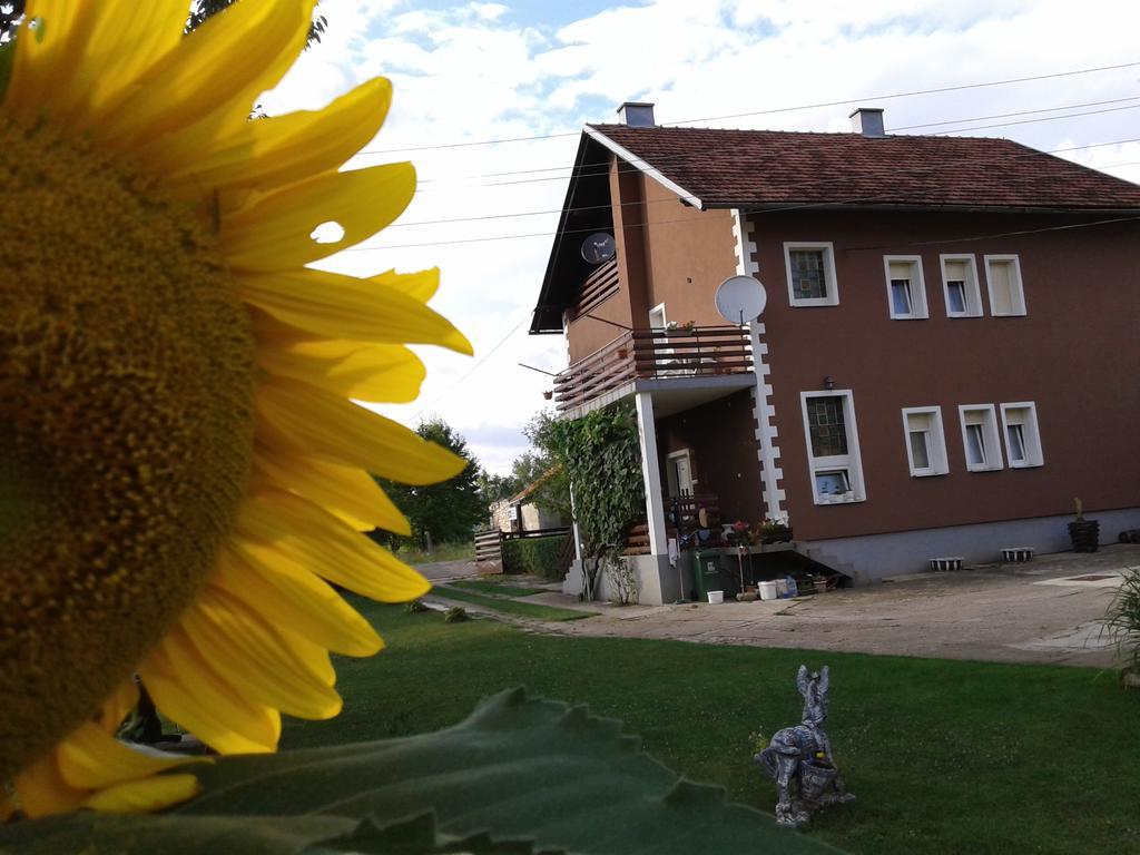 Gacka Rooms Vrhovine Dış mekan fotoğraf